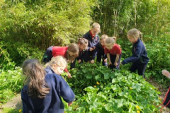 01e7440b-c196-49bc-ab7b-2f4c3e457379