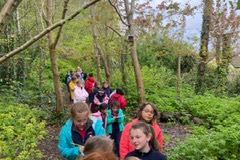 85a83aa0-ab07-4340-b267-791d99fe95c9