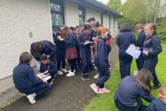 97e198a0-1338-493f-a448-924757f5c041