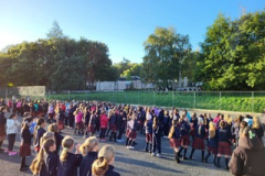 e8b68aa0-e76b-4364-8df6-48e51bd34c8e